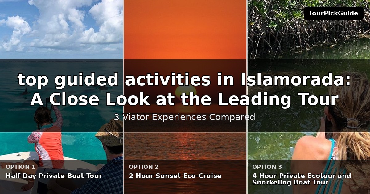 top guided activities in Islamorada – three Viator experiences compared