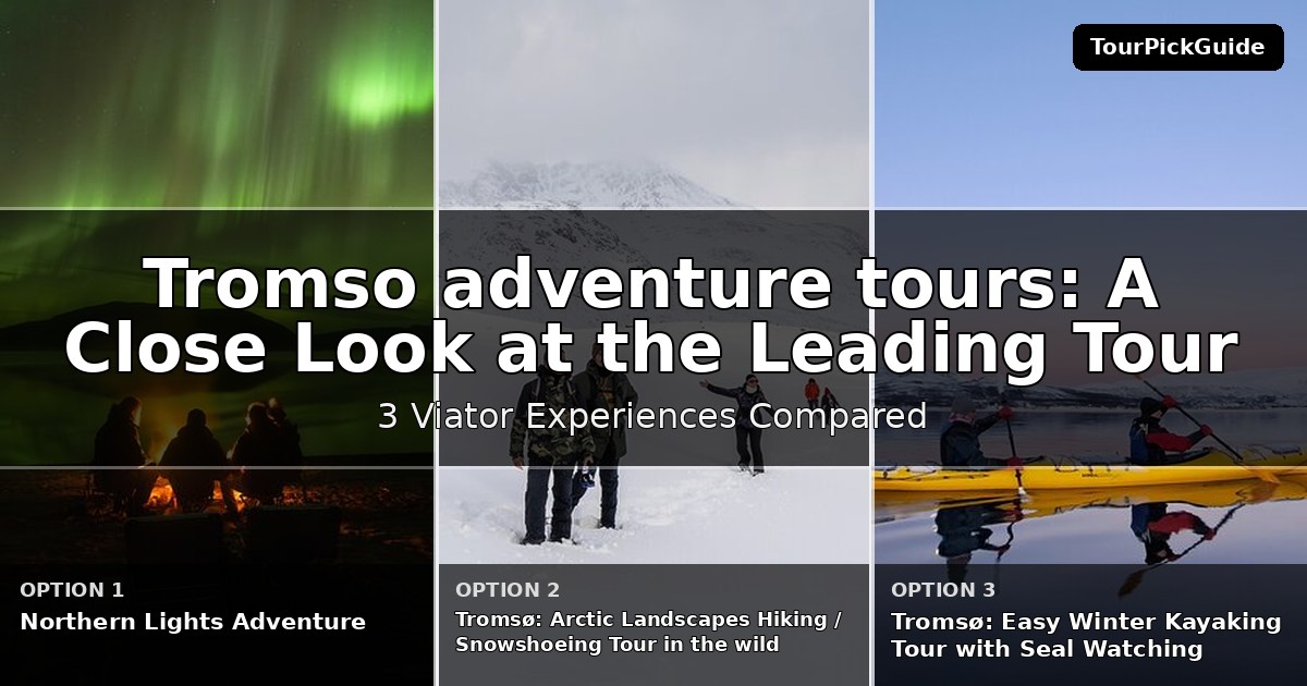 Tromso adventure tours – three Viator experiences compared