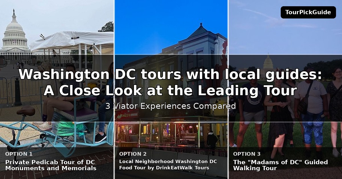 Washington DC tours with local guides – three Viator experiences compared
