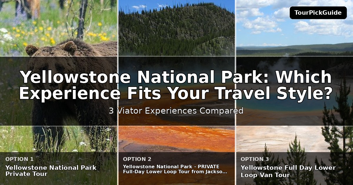 Yellowstone National Park tours with local guides – three Viator experiences compared